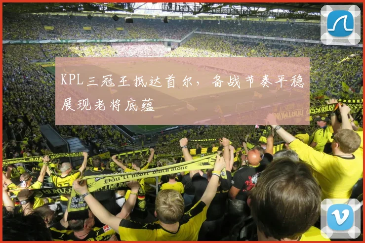 KPL三冠王抵达首尔，备战节奏平稳展现老将底蕴