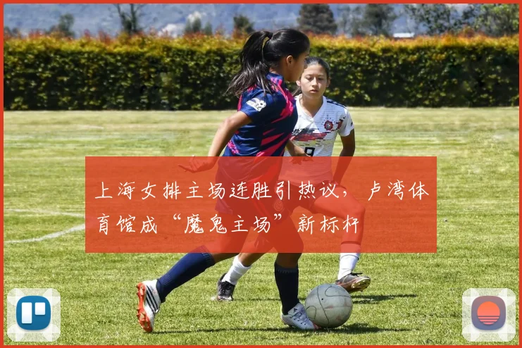 上海女排主场连胜引热议，卢湾体育馆成“魔鬼主场”新标杆