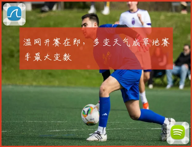 温网开赛在即，多变天气成草地赛季最大变数