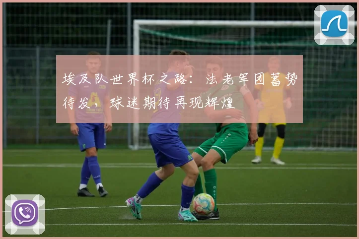 埃及队世界杯之路:法老军团蓄势待发,球迷期待再现辉煌