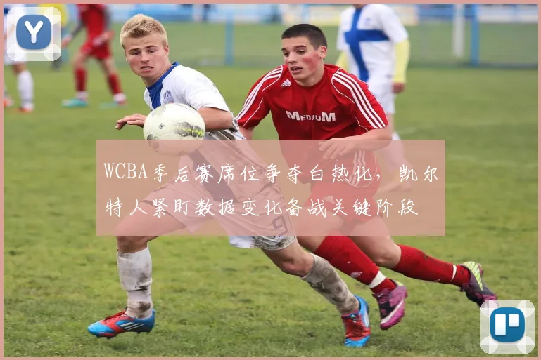 WCBA季后赛席位争夺白热化,凯尔特人紧盯数据变化备战关键阶段